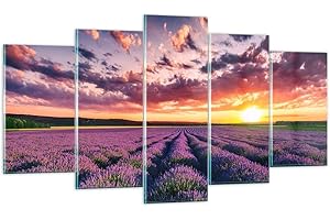 ARTTOR Decoracion Salon lavanda montañas campo Vidrios decorativos 160x85cm Cuadro Sobre Vidrio Moderno Cuadros Pared Impresiones Tríptico 5 Piezas Impresión en Cristal Wall Art Prints Grande GEA160x85-3816