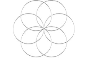 Worown 6pcs 25cm Floral Wreath Hoops, Silver Metal Rings for Making Wedding Wreath Decor and Wall Hanging Craft