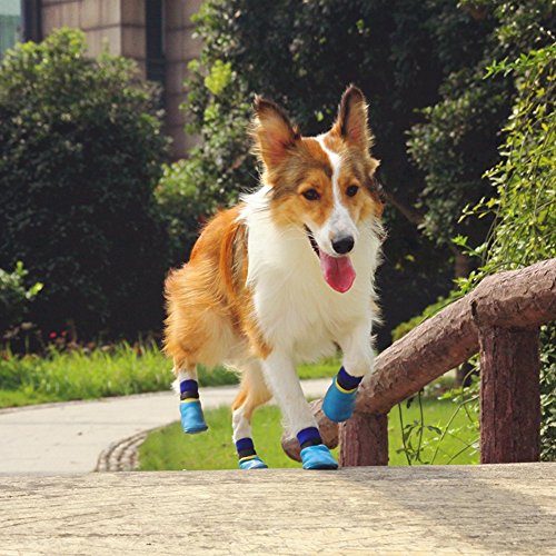 SAMGU-Waterproof-Non-slip-Sports-Socks-Shoes-Paw-Protector-Pet-Dog-Puppy
