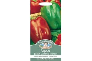 MR FOTHERGILLS Mr Fothergill's 22112 Vegetable Seeds, Pepper (Sweet) California Wonder, Green,Red