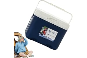 ZANKIE Car Refrigerator Freezer 6L - Insulated Freezer Box Portable Travel Electric Car Refrigerators with Handle for Camping, Travel, Truck, Boat, Home