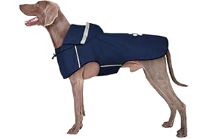 BiPawTi Płaszcze Przeciwdeszczowe dla Psów, Wodoszczelna Kurtka Przeciwdeszczowa dla Psa - Ultralekki Płaszcz Przeciwdeszczowy Dla Dużych Psów z Odblaskowym Kapturem i rzepami (XL | Niebieski)