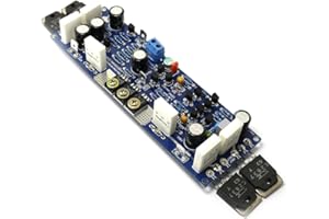 Q-BAIHE Mono Class AB L12-2 - Amplificatore di potenza 120 W + -55 V senza dissipatore di calore