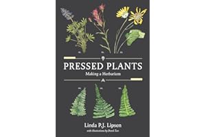 Pressed Plants: Making a Herbarium