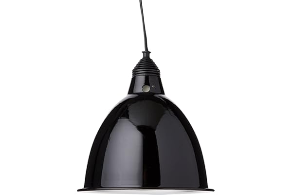 Exoterra Dome Fixture Eclairage en aluminium pour Reptile/Amphibien Taille Large