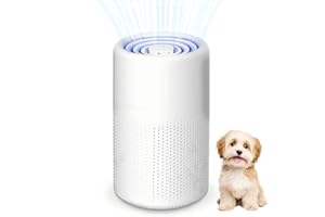 CHANEEHANN Purificatore d'Aria con Filtro HEPA, Portatile USB, Doppia Filtrazione, Elimina Odori Fumo Polvere e Peli Animali, Ultra Silenzioso, 5W, per Casa Auto Ufficio fino a 10m²
