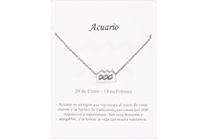 ONLY FAITH Collana segno zodiacale in acciaio inox bella carta significato segno zodiacale ciondolo oroscopo per donna o uomo regalo compleanno