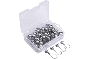 Goture-Set di ami da Pesca per Acqua salata, con Scatola portaccessori per Pesca con Pesce Jig Heads