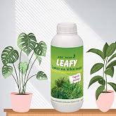 &Ccedil;i&ccedil;eksiz Bitkiler(STARLİ&Ccedil;E, AREKA PALMİYESİ, BONZAİ VB.) i&ccedil;in Sıvı Besin,g&uuml;bre(100 ml)