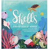 Shells: A Summer Pop-Up Book (4 Seasons of Pop-Up)