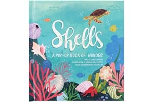 Shells: A Pop-up Book of Wonder