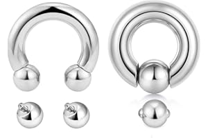 Rajnard 2 uds anillos de herradura de PA con rosca interna anillos de herradura de acción de resorte anillos de perlas cautivas CBR 6G-00G 316L joyería de perforación de acero quirúrgico