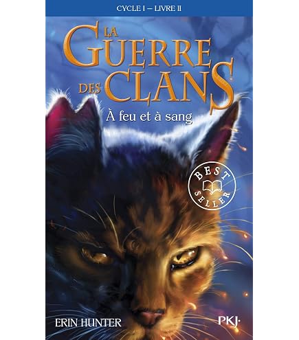 Fiches Classeur HAN 9811 | Format A8 Paysage | 100 Pièces Jaune | Lignées Argent