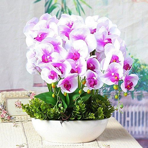 FZH FWEHUI Fake Fake Orchid artificial flowers made of silk white mud decoration