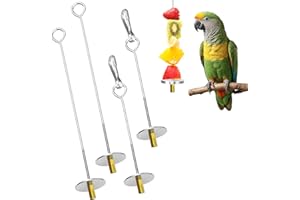VLYX Lot de 4 brochettes pour Oiseaux en Acier Inoxydable pour perroquets, mangeoires à Fruits pour Oiseaux, brochettes de Nourriture pour perroquets, Nourriture pour perruches, perruches, calopsittes