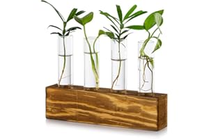 GLASSEAM Tabletop Hanging Glass Planter Propagation Station Modern 4 Test Tube Flower Bud Vase in Wood Stand Rack Terrarium for Hydroponic Plants Cuttings Office Home Decoration, Gift for Plant Lover