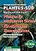 Produktbild PLANTUS-Süd, Personal Edition, 1 CD-ROMPflanzen für mediterrane Gärten, Kübelpflanzen, Zimmerpflanzen. Für Windows 95/98 und höher, Windows NT. Pflanzendatenbank mit Fotoarchiv