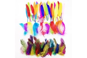 Anyasen Artificielle Plumes Multicolores 300 pièces Plumes Colorées Sachet de Plumes Plumes Mélangées Set Plumes Multicolores et Tachetées Plumes Décoration pour Costumes Chapeaux Fete 4.5-15 cm