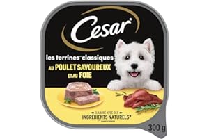 CESAR Repas pour Chien - Lot de 20 barquettes de 300g - Pâtée pour Chien Les Terrine Classiques au Poulet savoureux et au Foie - Nourriture humide pour chien