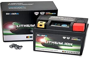 Batterie Skyrich Lithium LFP01