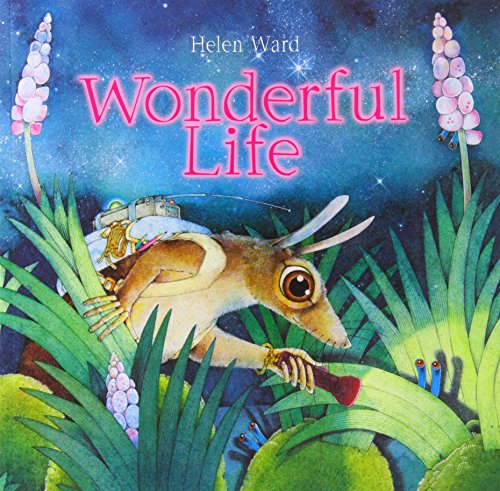 Download Wonderful Life