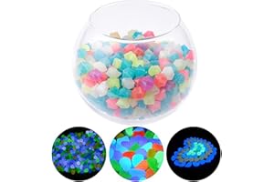 NAKUPENDA 500Pcs Pierre Luminescentes Galet Lumineux Glow in the Dark Pebble Stones Galets Pierres Décoration pour Chemins d'aquarium, Plantes en Pot (Couleurs Mélangées)