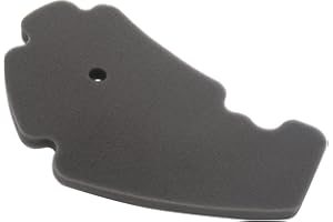 AHL Motocicleta Filtro de Aire compatible con Piaggio MP3 300 Yourban 2011-2019/X7 300 EVO 2009-2018/Beverly 400 2006-2007/Beverly 400 Tourer 2008-2011/MP3 400 2007-2008
