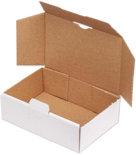 DHL Kleinpaket 240x160x80 Versandkarton (30 St.) Faltkarton Schachtel Weiß