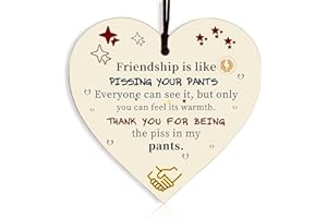 OBYJCA Friend Gifts for Women Friendship Gift Birthday Girlfriend Wooden Hanging Heart Plaque Cute Funny Inspirational Quote Special Gifts for Women