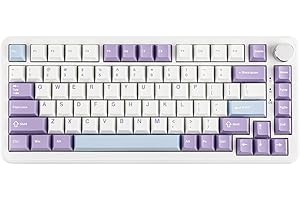 MechLands AJAZZ AK820 MAX HE Tastiera da gioco magnetica effetto hall, azionamento regolabile, frequenza di polling 8 KHz, tastiera rapida cablata, guarnizione cremosa, retroilluminazione RGB, NKRO