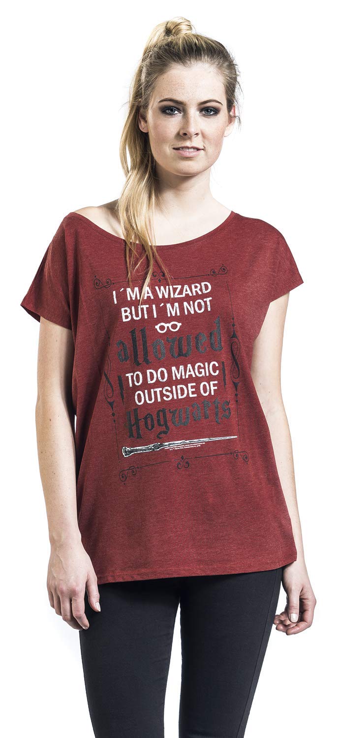 HARRY-POTTER-Allowed-T-Shirt-rot-meliert-XXL