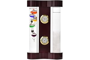 WIDDOP AND CO Galileo Thermomètre et Storm écran en verre 18 cm