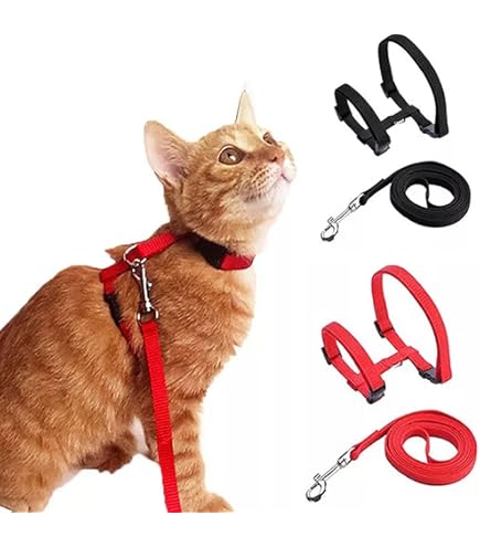 2 Pettorine Regolabili Per Gatti Con Guinzaglio - Morbide, Anti-Strappo E Leggere - Foto 5