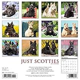 Image de Just Scotties 2017 Calendar