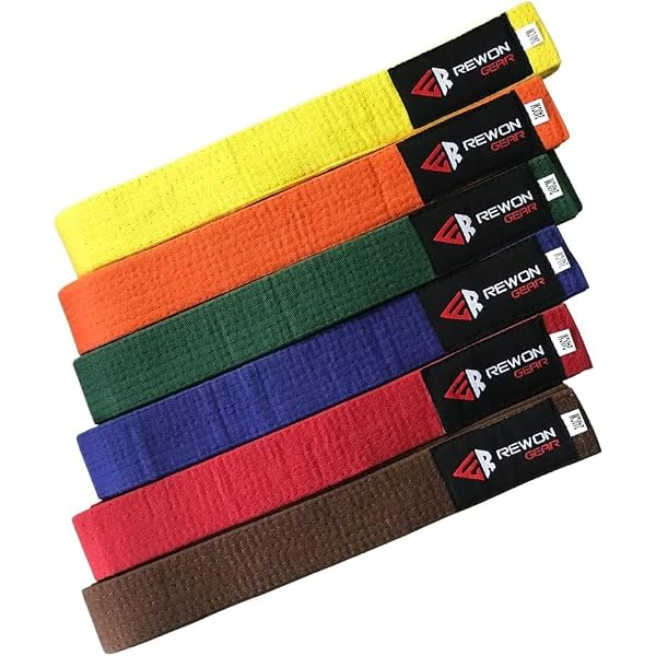 BJJ JiuJitsu Rank Portachiavi Accessori Brasiliano Jiu Jitsu Gear
