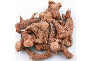 ‎GLORIOUS INHERITING GLORIOUS INHERITING / BAIGUZHENZHEN Asiatische Herkunft naturlich Alpinia Ingwer der allgemeinen Große mit Netzbeutel von 1,000 gramm