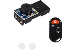 BTFO Générateur de Bruit Cricket Noir, Générateur de Bruit Cricket Caché avec Télécommande Son Caché Appareil Farces Bureau Drôles pour Fête d'Adultes Bureau Maison École Voiture