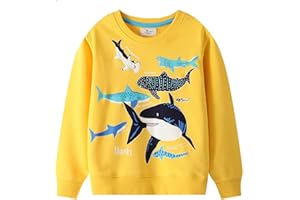 Moneric Boys Sweatshirt Toddler Dinosaur Long Sleeve Jumper Shirt Tops Casual Little Cotton Pullover T-Shirt Kids Clothes