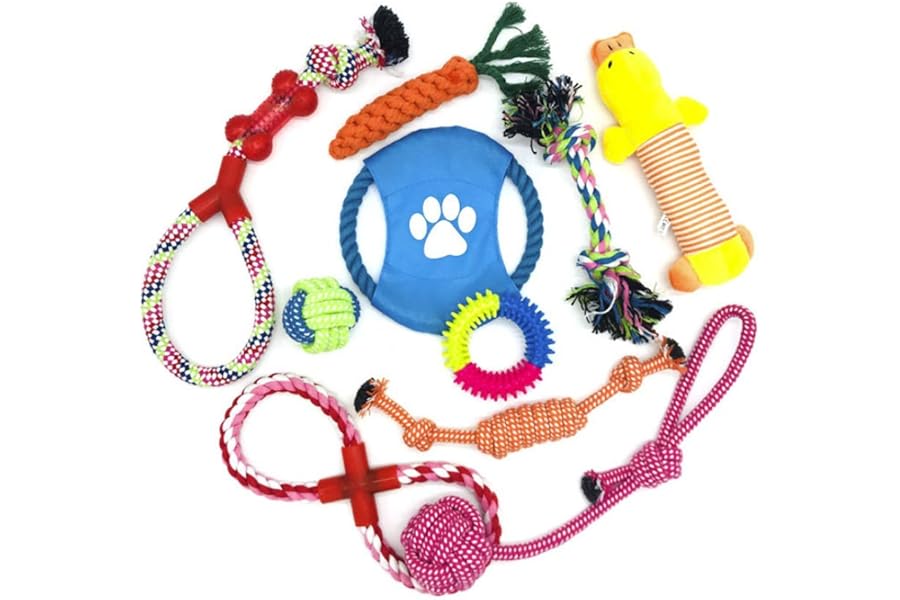 Wefine Puppy Chew Toys - 100% Natural Cotton Rope for Small & Medium Dogs (10 PCS)