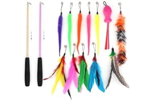 SLSON Juego de 14 juguetes para gatos con 2 varitas retráctiles interactivas y 12 coloridos juguetes de plumas de gato reemplazables con campanas para interior de gatos y gatitos