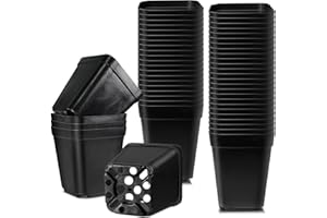 Muzhira Anzuchttöpfe, Ø5.5cm 50 Stück Premium Quadrat Anzucht Topf - Blumentöpfe für Sämlinge für Obst, Gemüse, Sukkulenten, Setzlinge, Stecklinge, Umpflanzen