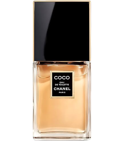COCO NOIR edp spray 100 ml : Amazon.co.uk: Beauty