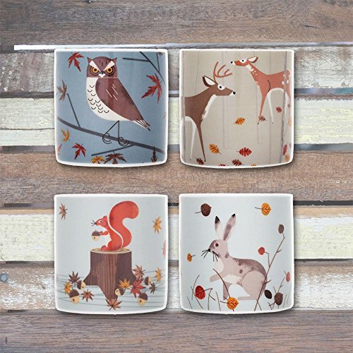 Preisvergleich Produktbild Forest Friends Mini Cups Set of 4 [W]