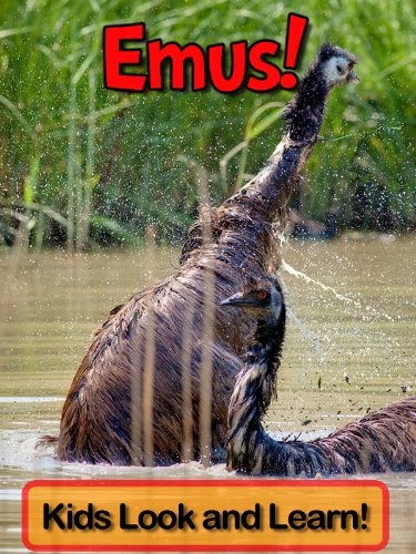 Emus! Learn About Emus and Enjoy Colorful Pictures - Look and Learn! (50+ Photos of Emus) (English Edition) livre