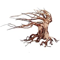 Decorazione Legno Per Acquario Amtra Oriental Wind - Tronco Naturale Per Aquascaping | 24x11x17 Cm - Foto 5