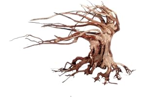 Amtra Legno Oriental Wind 6 taglia S, decorazione in legno per acquario fatto a mano, tronco naturale ornamentale, accessorio arredo decorativo, 24x11x17 cm