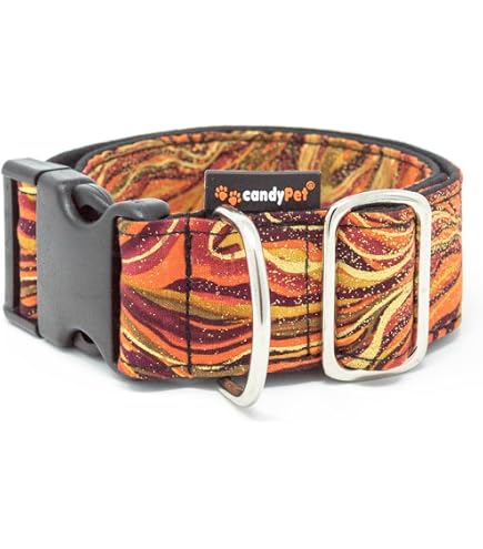 Galguita Amelie Martingale Hundehalsband – Sicherheitshalsband Mit Ananas-Muster, Größe L