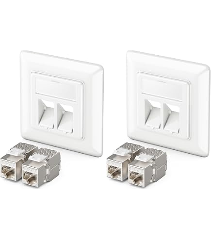 BIGtec Prise réseau CAT6a LAN Prise universelle Montage en saillie Goulotte de câble pour câble de pose Câble réseau CAT 7 CAT 6 CAT 5 CAT 6a 2 x RJ45 Blanc signal BIGtec Prise réseau CAT6a LAN Prise universelle Montage en saillie Goulotte de câble pour câble de pose Câble réseau CAT 7 CAT 6 CAT 5 CAT 6a 2 x RJ45 Blanc signal