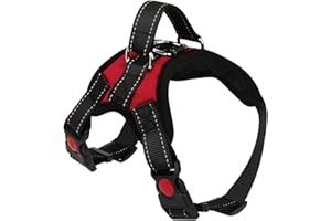 Wodondog Arnés para Perros Reflectantes Cómodo Transpirable Chaleco Acolchado Ajustable Arnés para Perros Grandes Medianos Pequeños Rojo