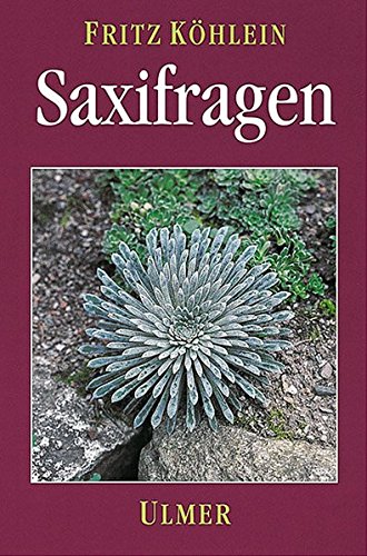 Preisvergleich Produktbild Saxifragen und andere Steinbrechgewächse